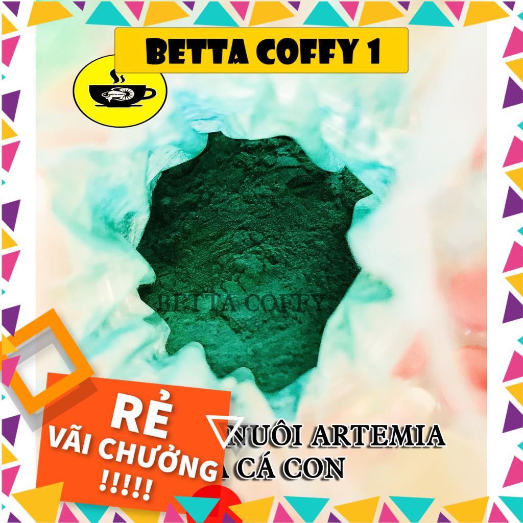 Tảo Bột - Thức ăn cho Artemia và cá con