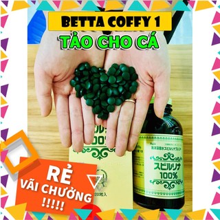 Tảo viên Nhật - Thức ăn cho cá betta, guppy