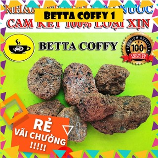 🌋 500Gr Đá Nham Thạch - San Hô 🌋 BETTA COFFY ☕️