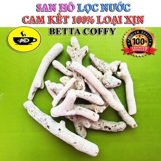 🌋 500Gr Đá Nham Thạch - San Hô 🌋 BETTA COFFY ☕️