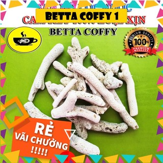 🌵 1KG San Hô - Nham Thạch Lọc Nước Cao Cấp 🌵 BETTA COFFY ☕️