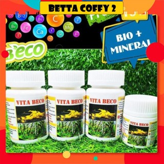 💪🏿 Vitamin Khoáng VITA BECO - Dành cho cá tép 🐠🦐
