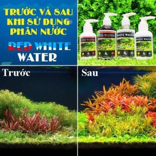 🌼 Phân Nước Thủy Sinh Cao Cấp - RED WHITE WATER