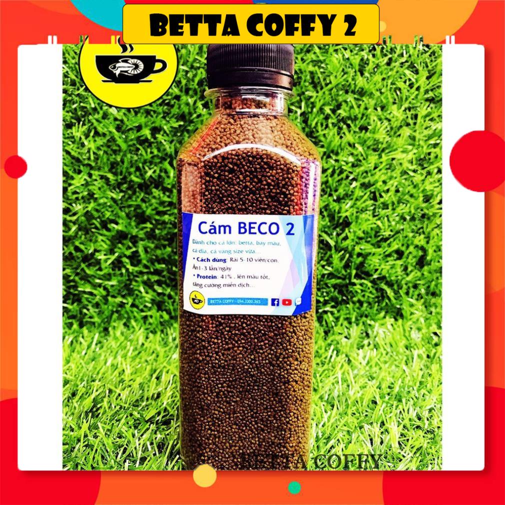 🥩 Cám BECO 2 - Thức ăn cho cá lớn 🐠 BETTA COFFY
