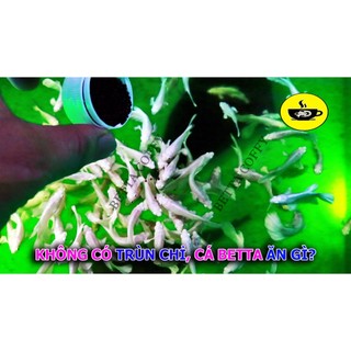 🥩 Cám BECO 2 - Thức ăn cho cá lớn 🐠 BETTA COFFY