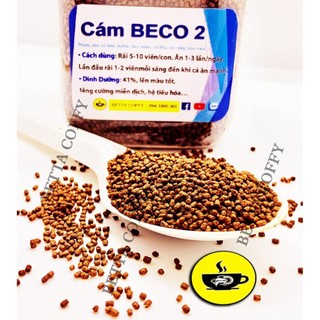 🥩 Cám BECO 2 - Thức ăn cho cá lớn 🐠 BETTA COFFY