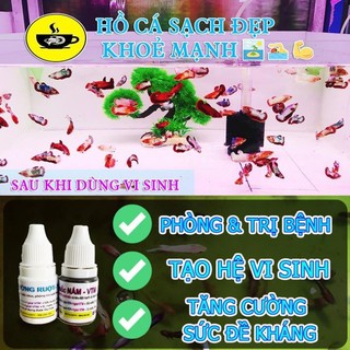 🚿 Ống Dây Oxy cho hồ cá - Cực Bền - Cực Dẻo 🐠
