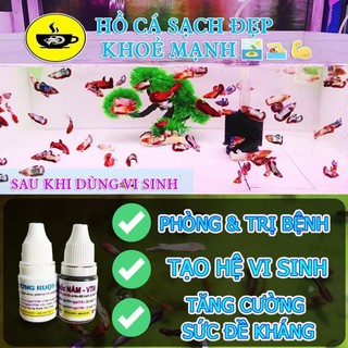🥩 Cám BECO 2 - Thức ăn cho cá lớn