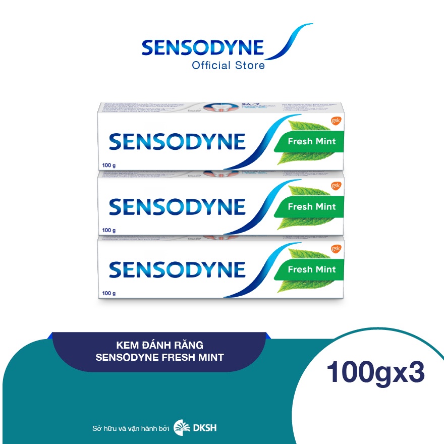 Bộ 3 Kem đánh răng SENSODYNE Fresh Mint 100g giúp giảm ê buốt hiệu quả với hương bạc hà thơm mát