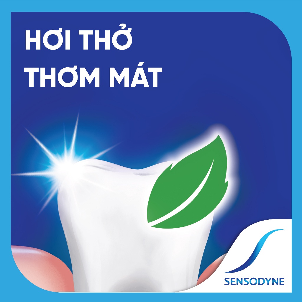 Kem đánh răng SENSODYNE Fresh Mint 100g giúp giảm ê buốt hiệu quả với hương bạc hà thơm mát