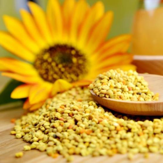 500gr Phấn hoa mật ong, Dalat Cordyceps, loại thượng hạng