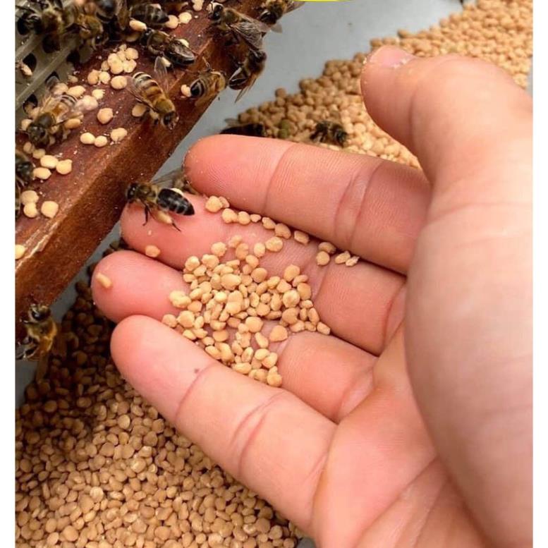 500gr Phấn hoa mật ong, Dalat Cordyceps, loại thượng hạng