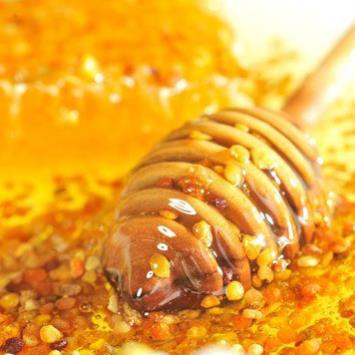 500gr Phấn hoa mật ong, Dalat Cordyceps, loại thượng hạng