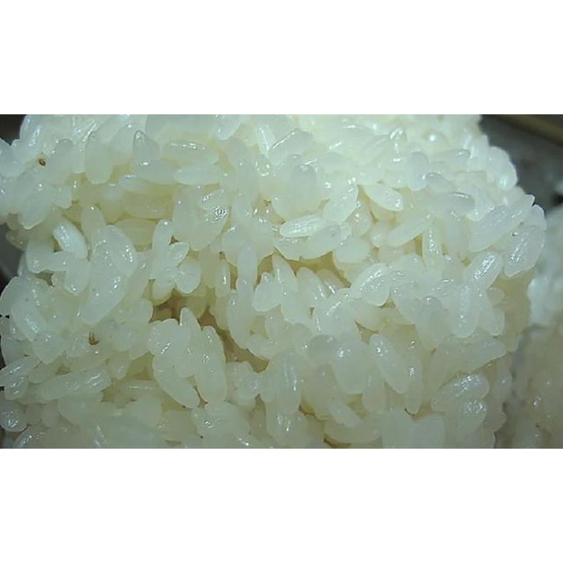 Gạo nếp Tú Lệ  - AnAn Tây Bắc