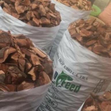 Thân cây mú từn 1kg  - AnAn Tay Bac