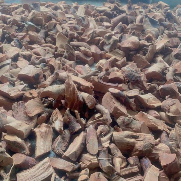 Thân cây mú từn 1kg  - AnAn Tay Bac