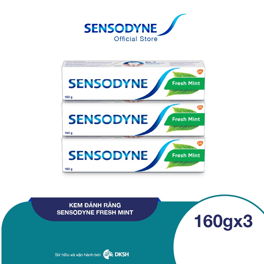 Bộ 3 Kem đánh răng SENSODYNE Fresh Mint 160g giúp giảm ê buốt hiệu quả với hương bạc hà thơm mát