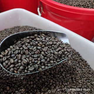 1kg cà phê Robusta Honey [500g/bịch]