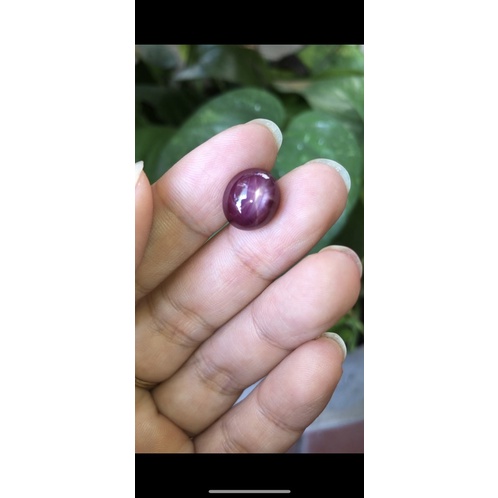 Viên đá tròn - có sao nét