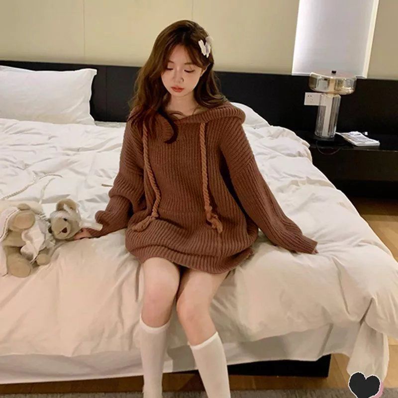 Áo Hoodie Màu Trơn Dáng Rộng Phong Cách Hàn Quốc Thời Trang Thu Đông Cho Nữ