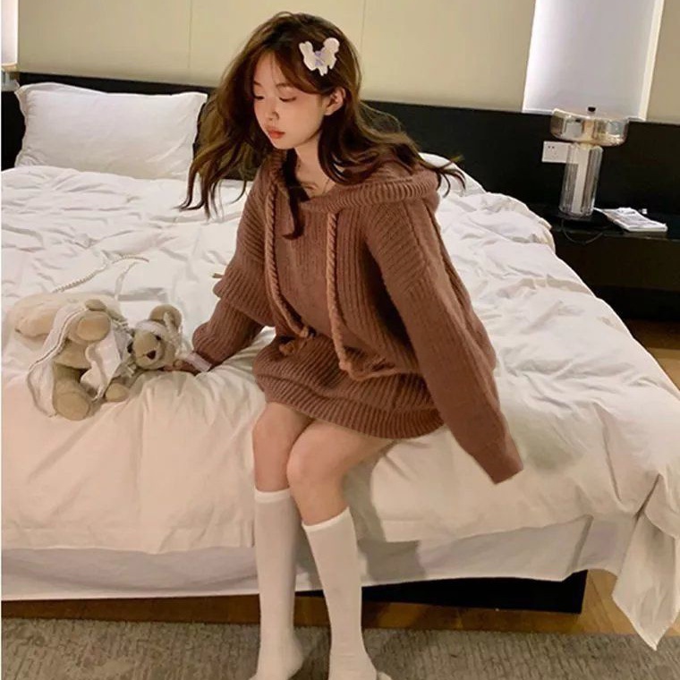 Áo Hoodie Màu Trơn Dáng Rộng Phong Cách Hàn Quốc Thời Trang Thu Đông Cho Nữ