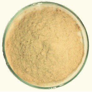 1KG BỘT LÀM CHẢ LỤA CHAY - GLUTEN MIX