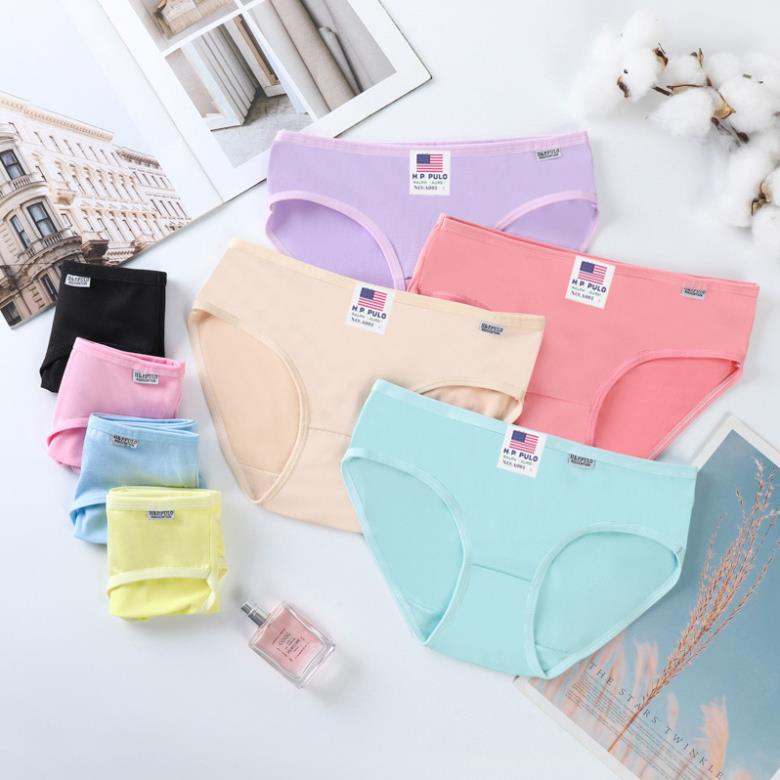 Quần lót nữ cotton thấm hút co giãn Pulo Mã Q02