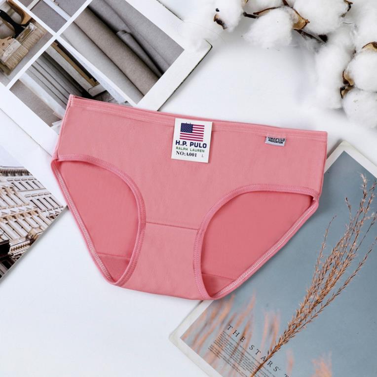 Quần lót nữ cotton thấm hút co giãn Pulo Mã Q02