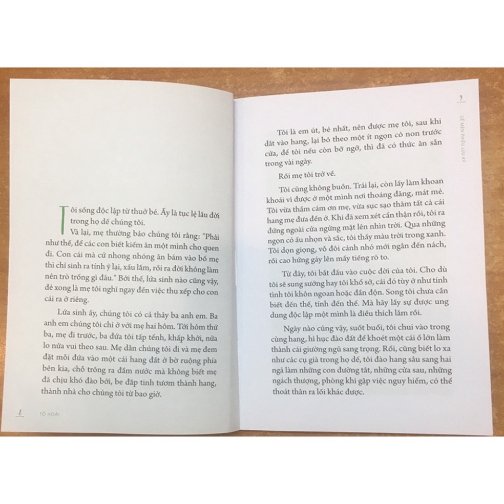 Sách - Dế Mèn Phiêu Lưu Ký