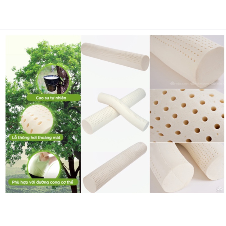 ⭐GIÁ HỦY DIỆT⭐ Gối ôm Thái Lan nhập khẩu, cao su thiên nhiên 100%, gối ôm masage latex cho người đau cổ, chống ngáy