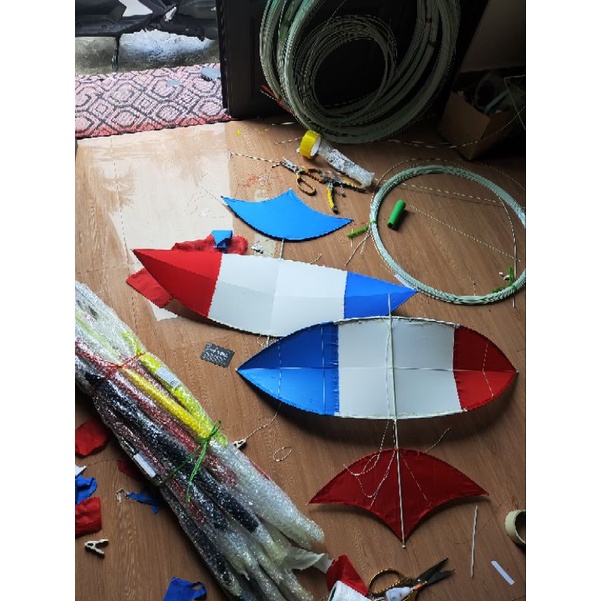 Combo diều đuôi cá cap quang