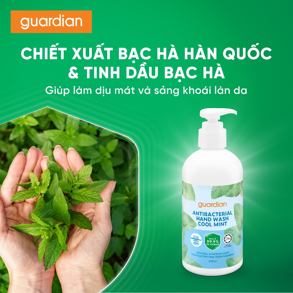 Nước Rửa Tay Sạch Khuẩn Guardian Antibacterial Handwash Cool Mint Bạc Hà Mát Lạnh 250ml