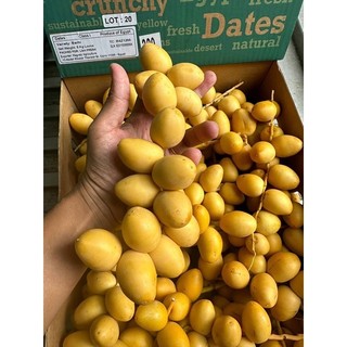 Chà Là tươi Ai Cập, Thái Lan