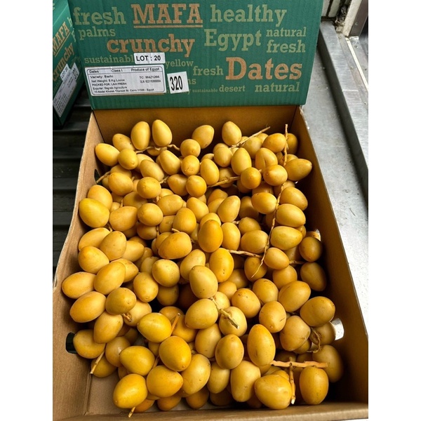 Chà Là tươi Ai Cập-1kg