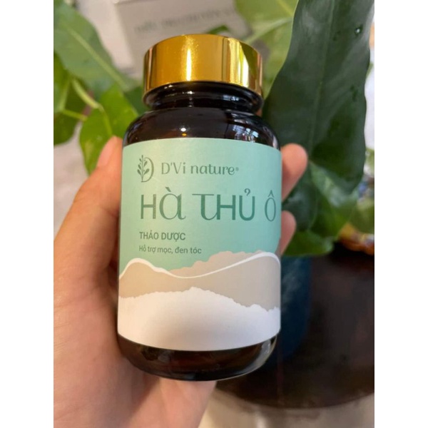 Hà thủ ô viên DVi nature