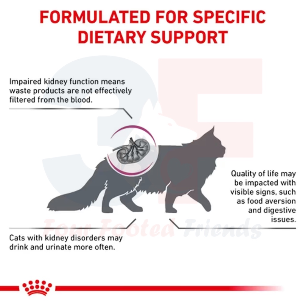 Thức Ăn Hạt Cho Mèo Bị Suy Thận Royal Canin Renal Feline
