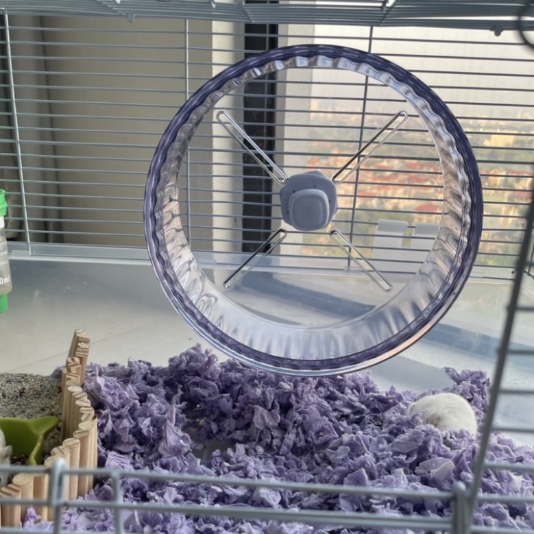 Wheel bánh xe chạy cho Hamster kèm đế