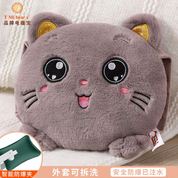 Túi chườm đá túi chườm nóng Bình nước nóng điện thông minh chống cháy nổ bình giữ ấm tay sạc cho bé học sinh dễ thương sang trọng hai tay giữ ấm tay che bụng