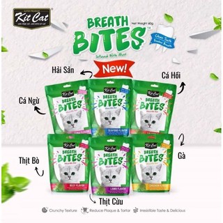 Snack nhai sạch răng cho mèo kitcat breath bites 60g
