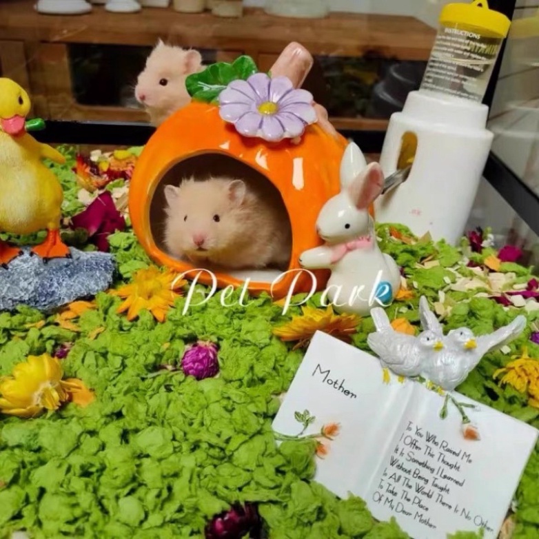 [ORDER] Nhà ngủ sứ bí ngô cho hamster