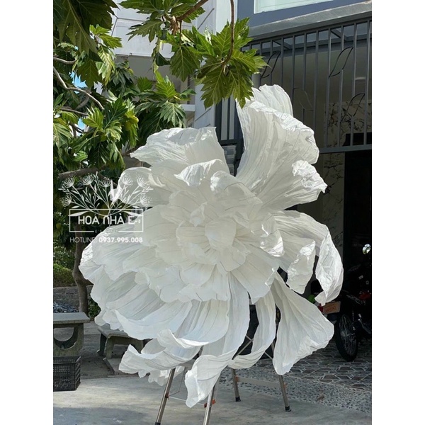 GIẤY NHĂN LÀM HOA KHỔNG LỒ DECOR