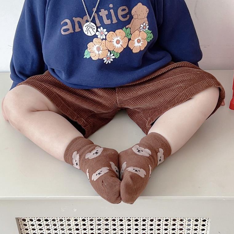 Set 5 đôi tất cotton gấu cam bi bé trai , gái sợi bông mềm mại thoáng khi khử mùi Softie te12