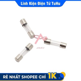 PN  -  Cầu Chì 5A 250V 6x30mm