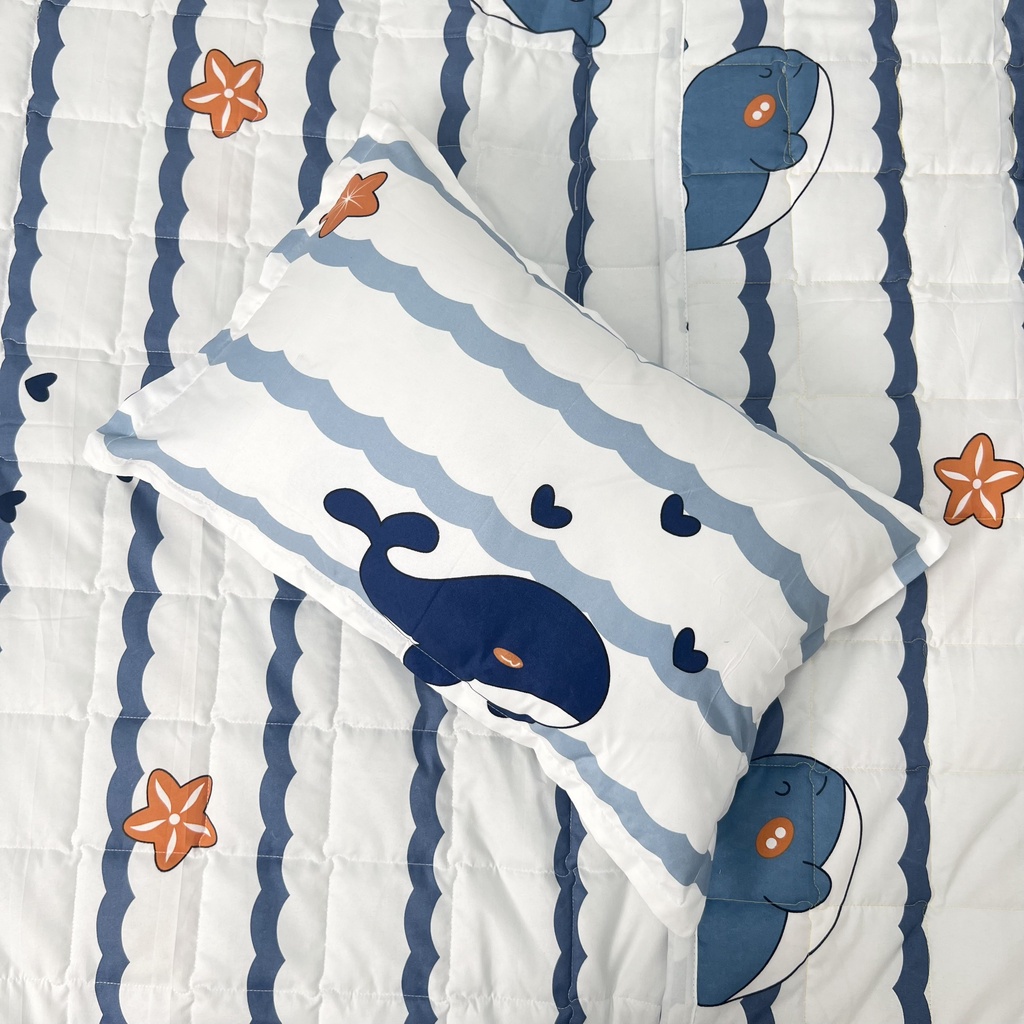 Set 5 món chăn hè chần bông ga gối Cotton Poly