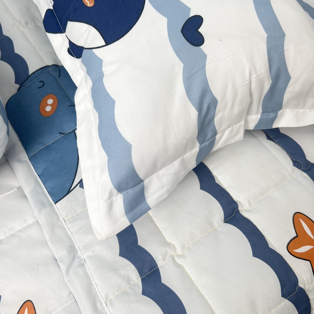 Set 5 món chăn hè chần bông ga gối Cotton Poly