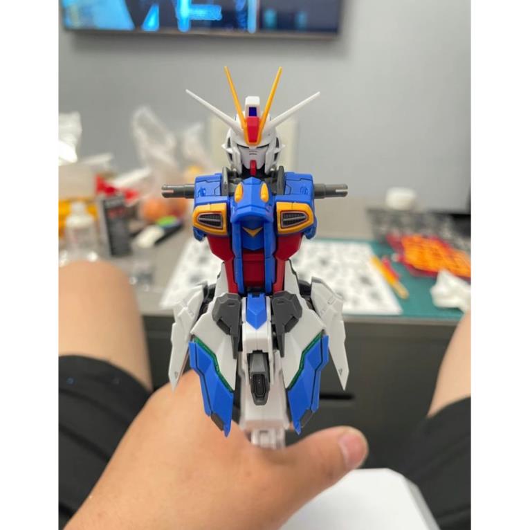 Mô hình lắp ráp MG EG-01 Force Impluse