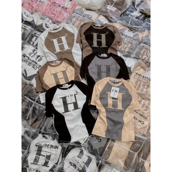 Áo thun phối chữ H