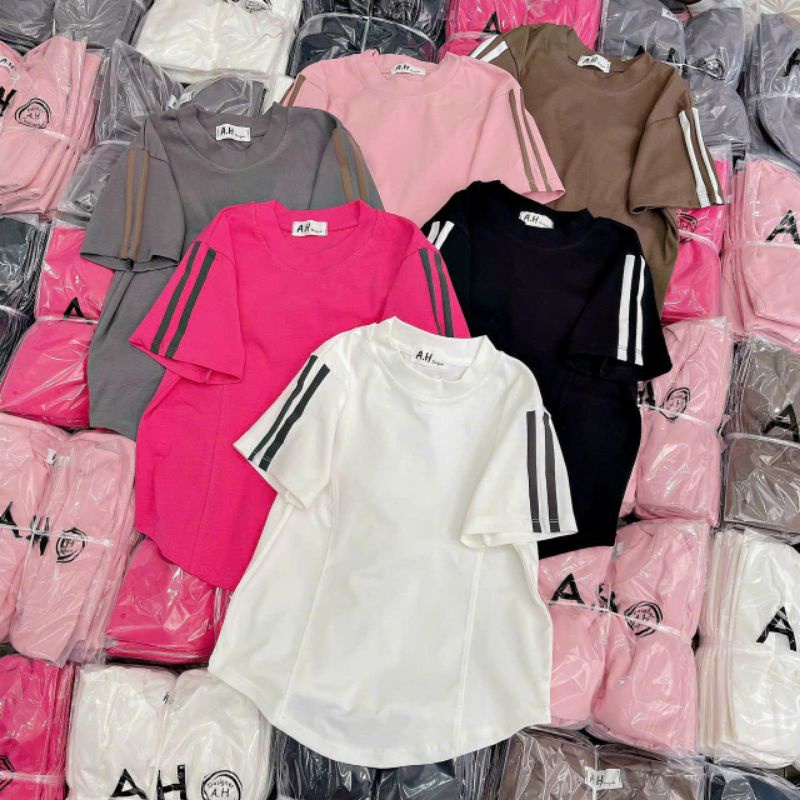 Áo thun trơn tay sọc