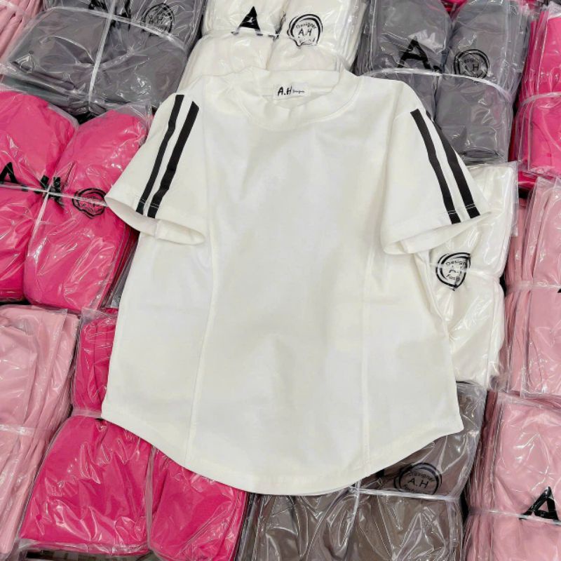 Áo thun trơn tay sọc