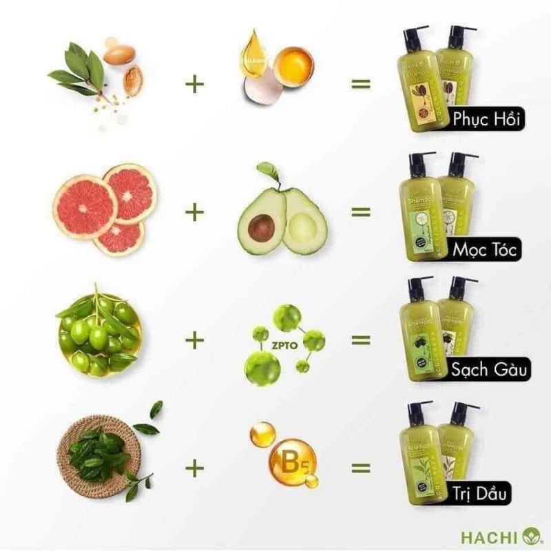 Combo dầu gội xả bưởi Hachi dành cho tóc gãy rụng 350, 500, 800ml